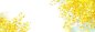 Preview: Dekorbild-Yellow-blossom