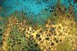 Preview: Coral Pour 1