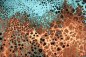 Preview: Coral Pour 2