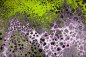Preview: Coral Pour 3