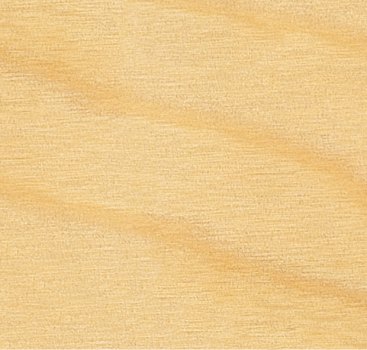 Holz-Design Dekor Königsahorn