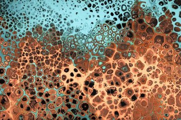 Coral Pour 2