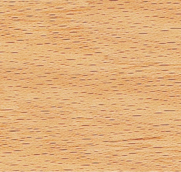 Holz-Design Dekor Königsahorn