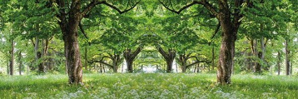 Dekorbild-Segensreiche-Fuelle