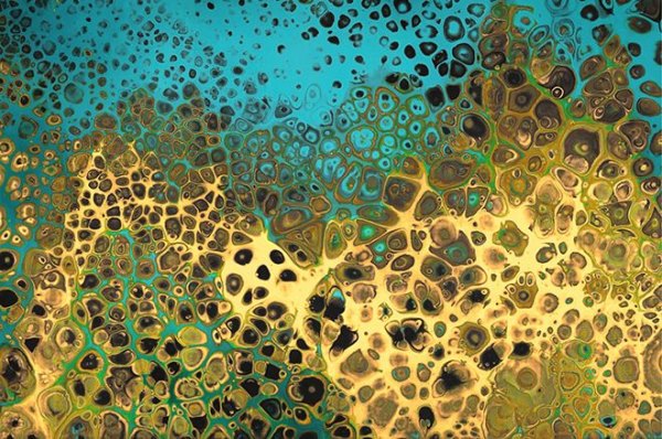 Coral Pour 1